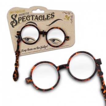 Simply Marvelous Magnetic Tortoiseshell Spectacles