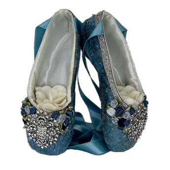 Swan Lake Diamondpointes Ballet Shoes (Pair)