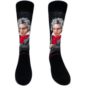 Ludwig Van Beethoven Socks